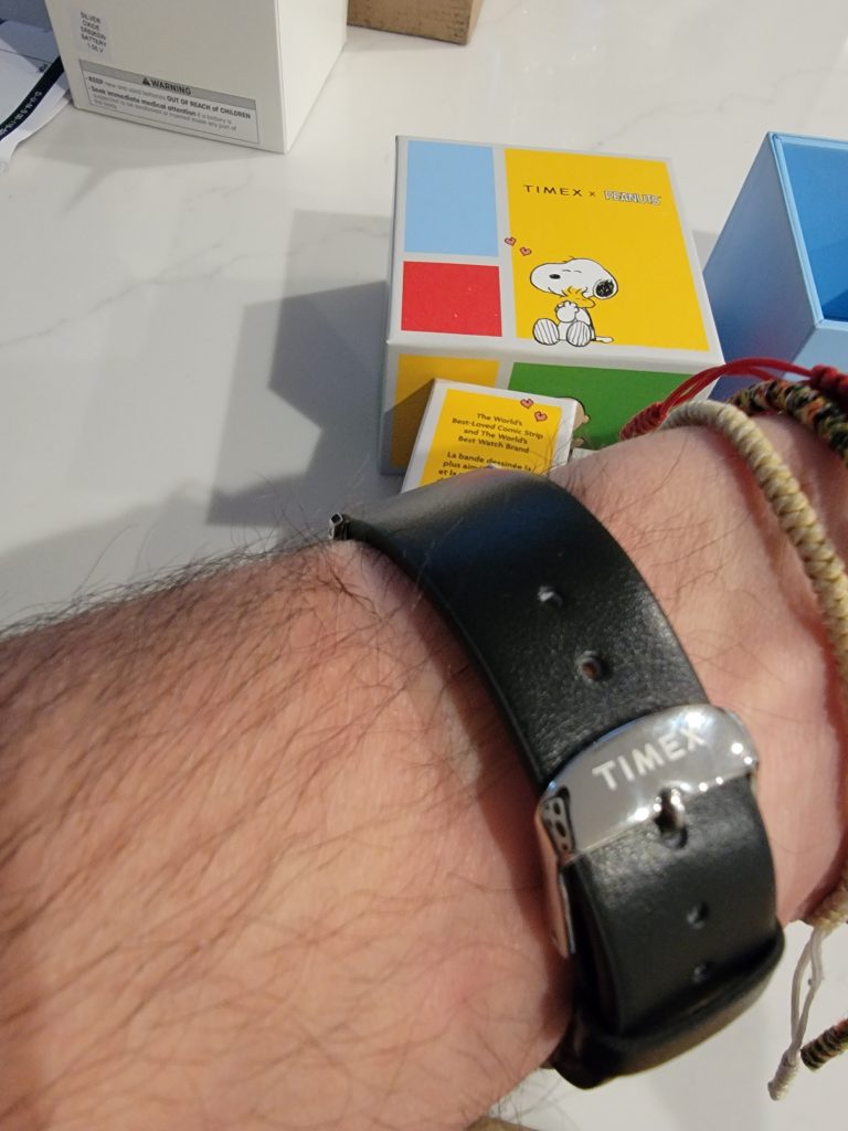 timex pickleball watch band